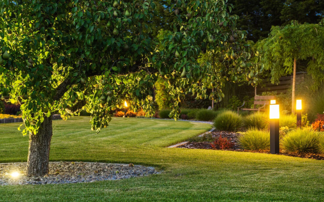 Éclairage de Jardin : Techniques et Plantes Lumineuses